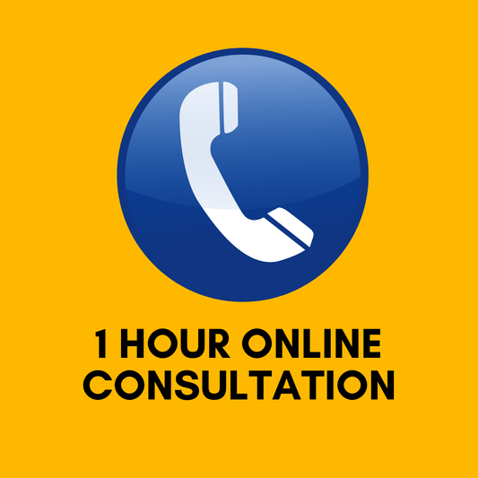 1 Hour Online Consultation